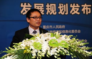 重慶軟件服務外包業規劃布局，劍指行業三甲寶座